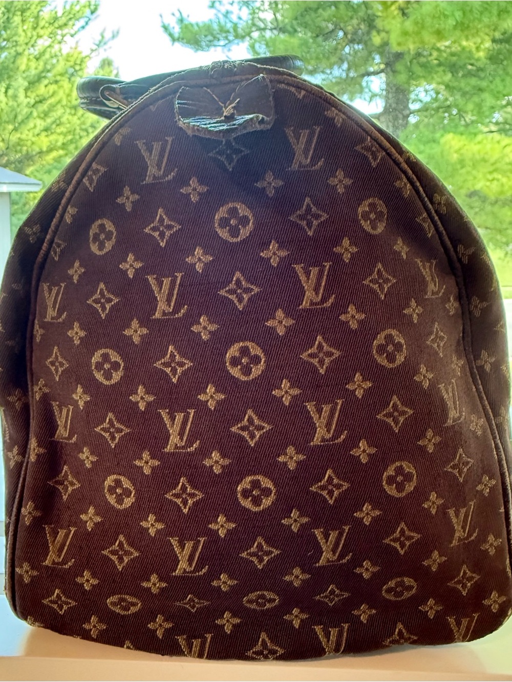 Louis Vuitton Brown Canvas Monogram Speedy with Dark Leather Trim - Picture 2 of 14